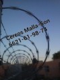 /album/nuestro-trabajo/concertina-jpg1/